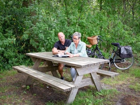 Landschapspark Striks Erve - Camping Staphorst - Afbeelding N°3