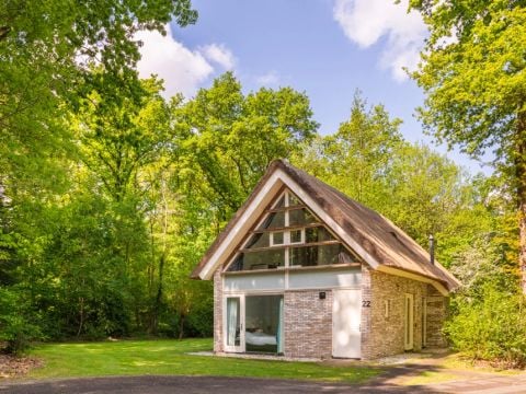 Summio Buitenplaats de Marke van Ruinen - Camping De Wolden - Afbeelding N°4