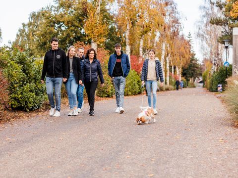 Vakantiepark Leukermeer - Bergen - Afbeelding N°12