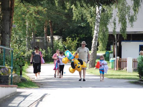 Ferienpark Heidesee - Camping Nedersaksen - Afbeelding N°3