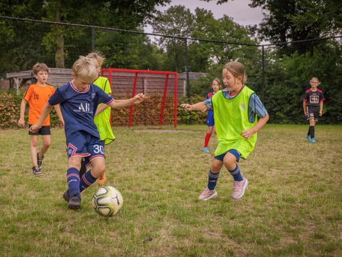 Recreatiepark De Boshoek - Barneveld - Afbeelding N°25