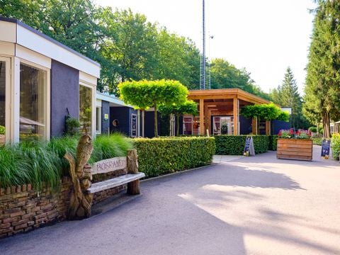 Vakantiepark De Bosrand - Camping Epe - Afbeelding N°0