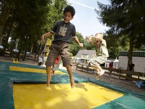 Vakantiepark De Bosrand - Camping Epe - Afbeelding N°3