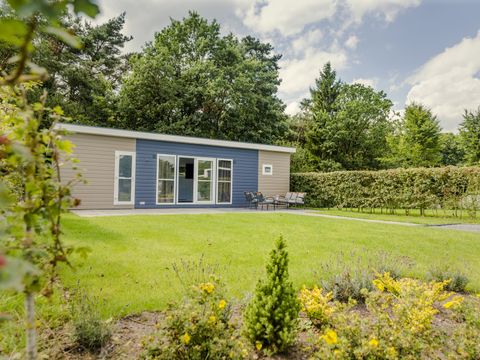 Vakantiepark Hölte - Rijssen-Holten - Afbeelding N°13