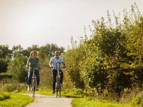 Landal Orveltermarke - Midden-Drenthe - Afbeelding N°3