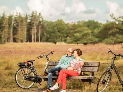 Landal Hunerwold State - Westerveld