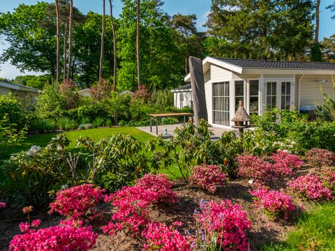 EuroParcs De Zanding - Ede - Afbeelding N°26