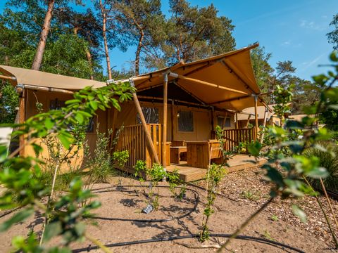 EuroParcs De Zanding - Ede - Afbeelding N°29