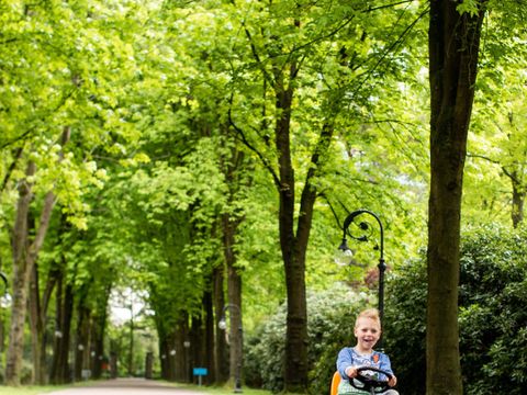 TopParken Landgoed de Scheleberg - Ede - Afbeelding N°23
