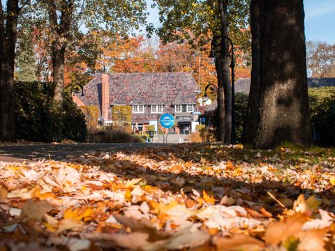 TopParken Landgoed de Scheleberg - Ede - Afbeelding N°29