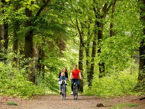 TopParken Landgoed de Scheleberg - Ede