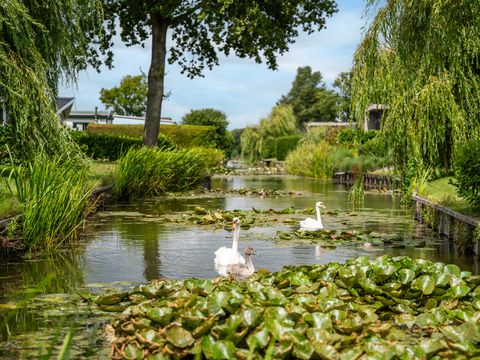 TopParken Park Westerkogge - Koggenland - Afbeelding N°30