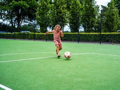 TopParken Resort Bosvallei - Ede - Afbeelding N°13