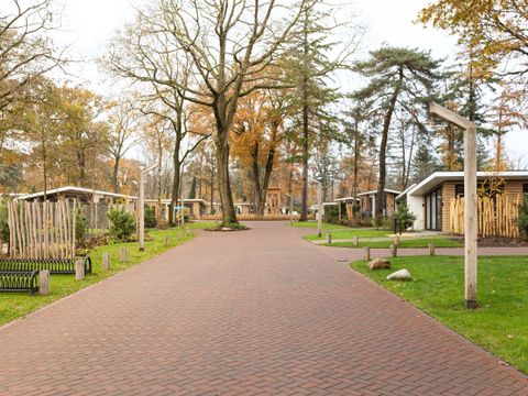 TopParken Bospark Ede - Ede - Afbeelding N°30