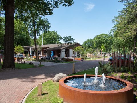TopParken Bospark Ede - Ede - Afbeelding N°24