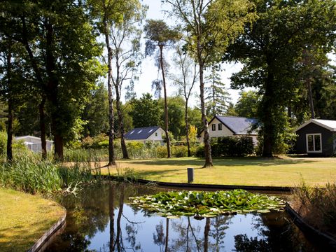 TopParken Bospark Ede - Ede - Afbeelding N°35