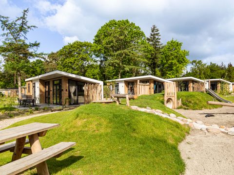 TopParken Bospark Ede - Ede - Afbeelding N°28