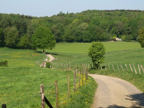 Buitenplaats De Mechelerhof - Gulpen-Wittem - Afbeelding N°7