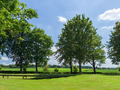 Buitenplaats De Mechelerhof - Gulpen-Wittem - Afbeelding N°20