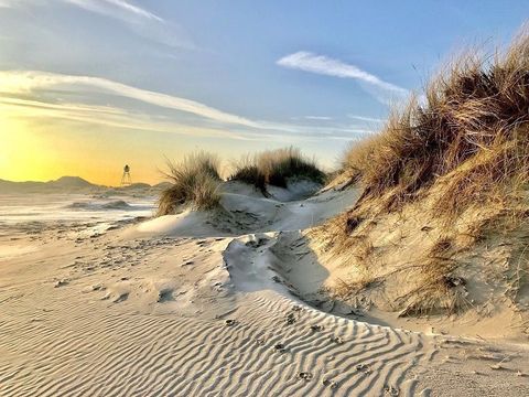 Parc Koudenburg - Camping Ameland - Afbeelding N°4