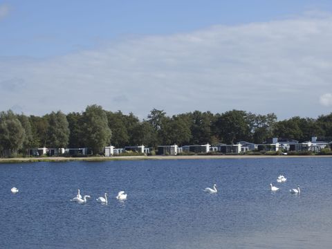 EuroParcs Bad Hoophuizen - Apeldoorn - Afbeelding N°50