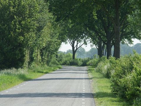 EuroParcs Bad Hoophuizen - Apeldoorn - Afbeelding N°30