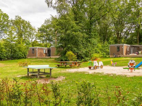 Molecaten Park De Koerberg - Heerde - Afbeelding N°16