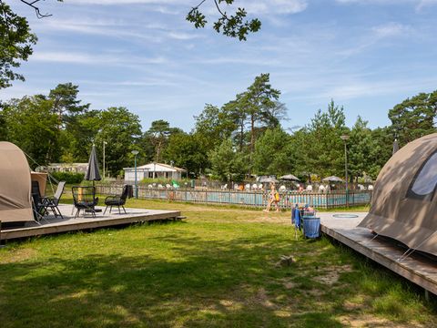 Molecaten Park De Koerberg - Heerde - Afbeelding N°3