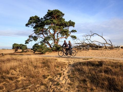 Landal Bungalowpark Hoenderloo - Apeldoorn