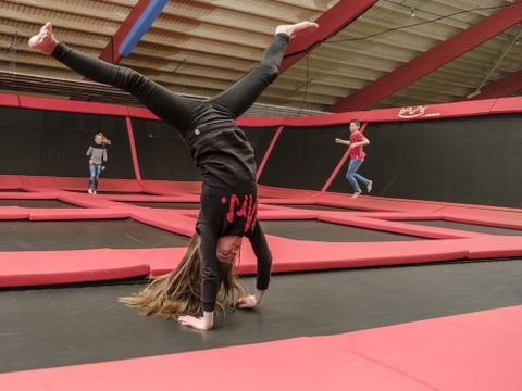 Hof van Saksen - Aa en Hunze - Afbeelding N°4