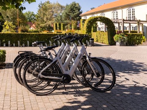 Summio Duc De Brabant - Camping Hilvarenbeek - Afbeelding N°3