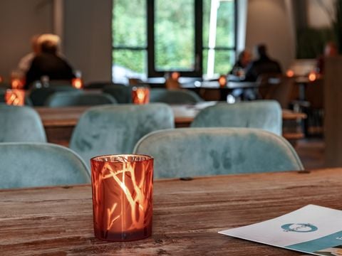 Roompot Bospark Lunsbergen - Camping Borger-Odoorn - Afbeelding N°5