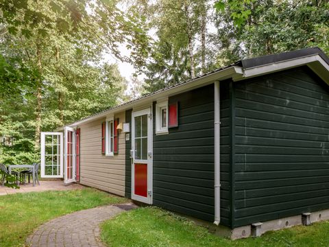 Roompot Bospark Lunsbergen - Camping Borger-Odoorn - Afbeelding N°0