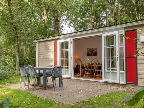 Landal Bospark Lunsbergen - Borger-Odoorn - Afbeelding N°0