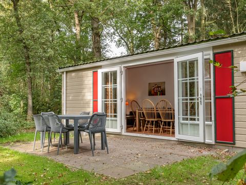 Roompot Bospark Lunsbergen - Camping Borger-Odoorn - Afbeelding N°0