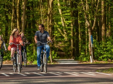 EuroParcs Spaarnwoude - Haarlemmermeer - Afbeelding N°13