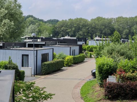 EuroParcs Spaarnwoude - Haarlemmermeer - Afbeelding N°16