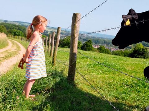 Roompot Vakantiepark Schin op Geul - Camping Valkenburg aan de Geul - Afbeelding N°5