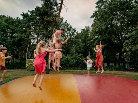 Vakantiepark Westerbergen - Camping De Wolden - Afbeelding N°5
