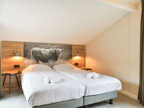 Vakantiepark Westerbergen - De Wolden - Afbeelding N°5