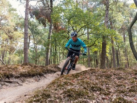 Vakantiepark Westerbergen - De Wolden