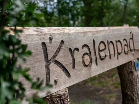 Vakantiepark Westerbergen - De Wolden - Afbeelding N°71