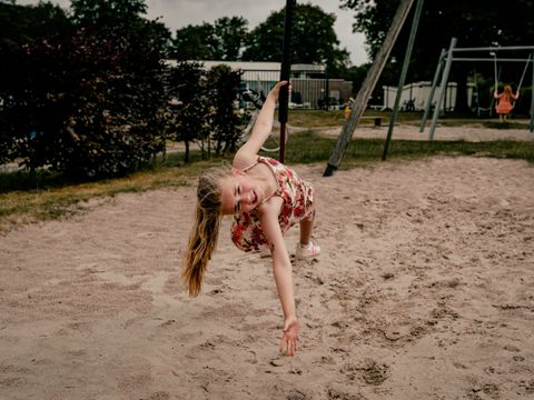 Vakantiepark Westerbergen - De Wolden - Afbeelding N°39
