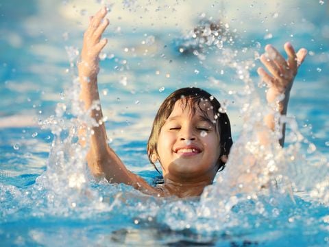 Vakantiepark Westerbergen - Camping De Wolden - Afbeelding N°4