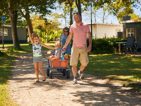 RCN Vakantiepark Toppershoedje - Goeree-Overflakkee - Afbeelding N°31