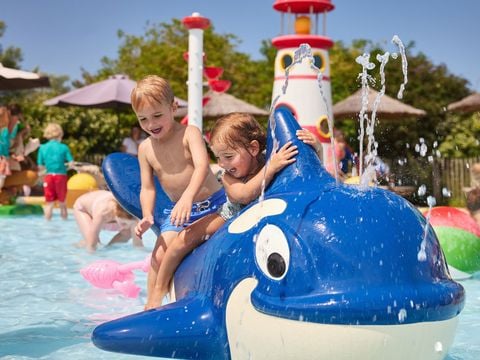 RCN Vakantiepark Toppershoedje - Camping Goeree-Overflakkee - Afbeelding N°3