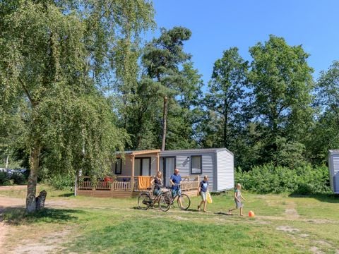 RCN Vakantiepark De Roggeberg - Camping Ooststellingwerf - Afbeelding N°0