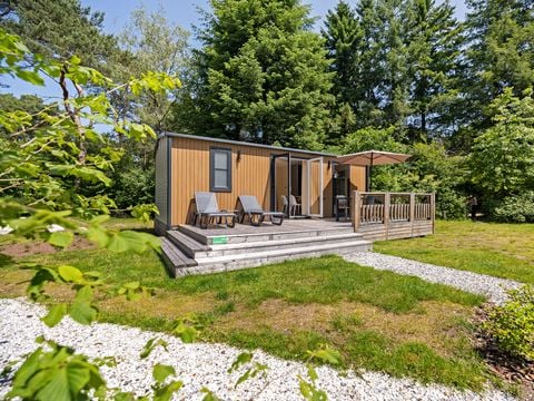 RCN Vakantiepark De Roggeberg - Ooststellingwerf - Afbeelding N°0