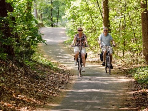 RCN Vakantiepark De Roggeberg - Camping Ooststellingwerf - Afbeelding N°2