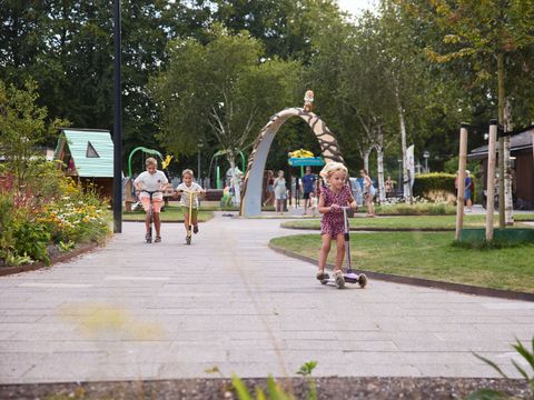RCN Vakantiepark De Roggeberg - Ooststellingwerf - Afbeelding N°11